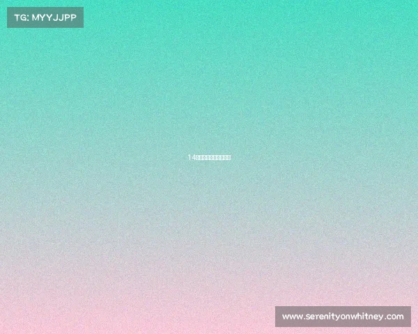 14支队伍单淘汰赛的编排 14支队伍单淘汰赛的编排