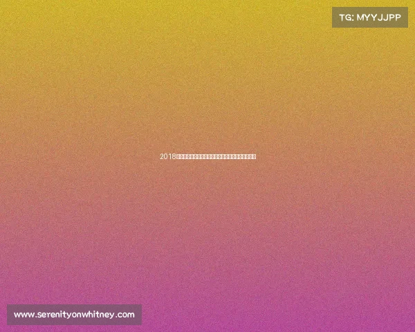 2018最新散打赛事巅峰对决竞技热点与英雄传奇风采回顾