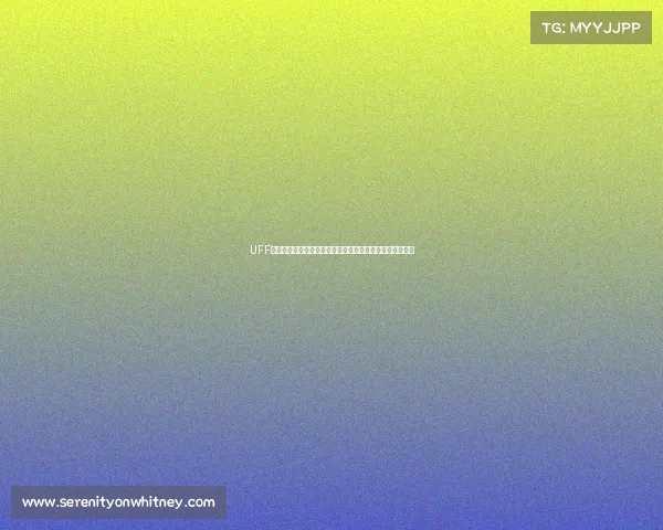 UFF赛事价值深度剖析经济驱动文化传承与社会贡献的多维融合