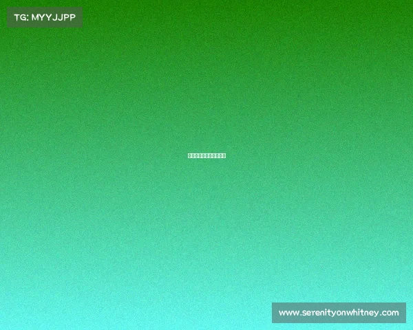 国际体育赛事已举办几次 国际体育赛事已举办几次